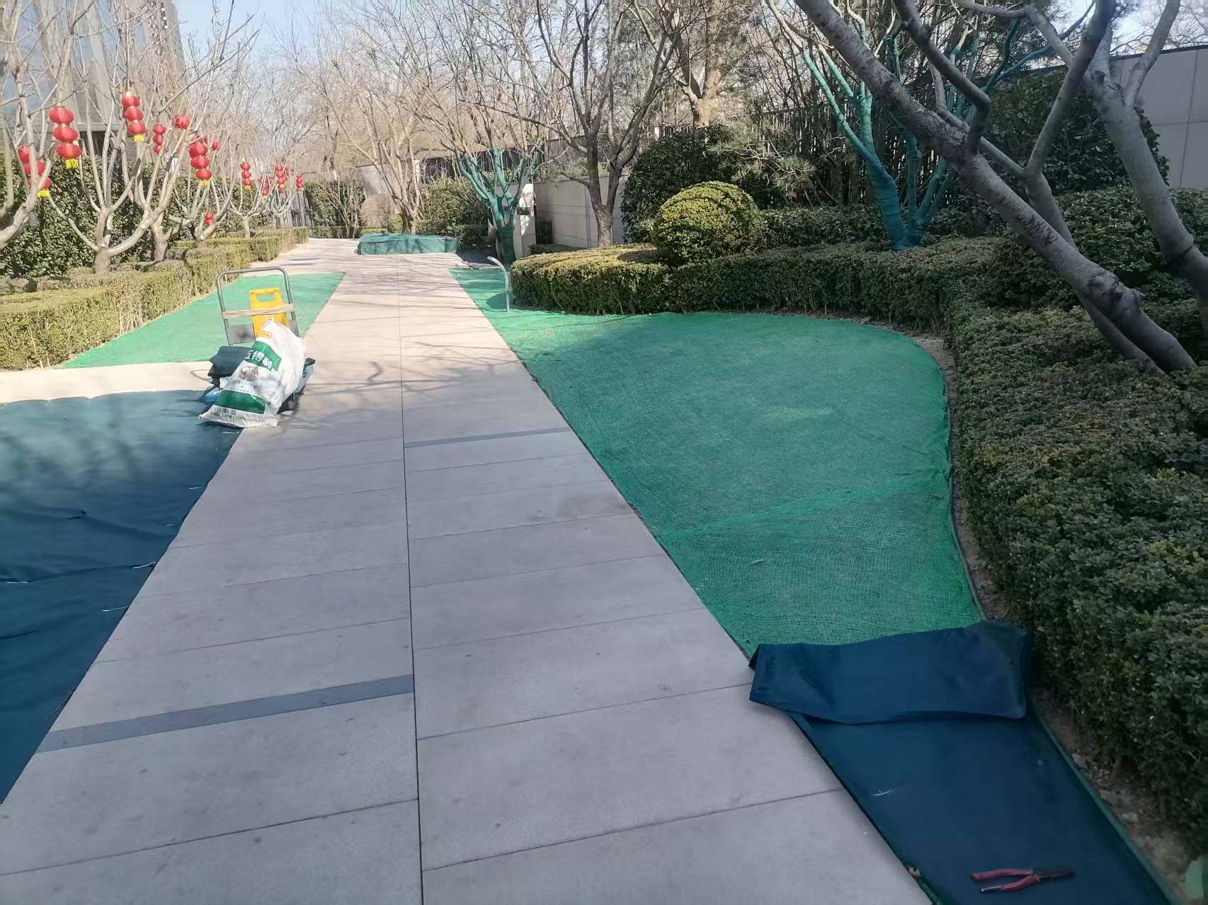北京春季園（yuán）林綠化養護（hù）之撤除（chú）防寒布