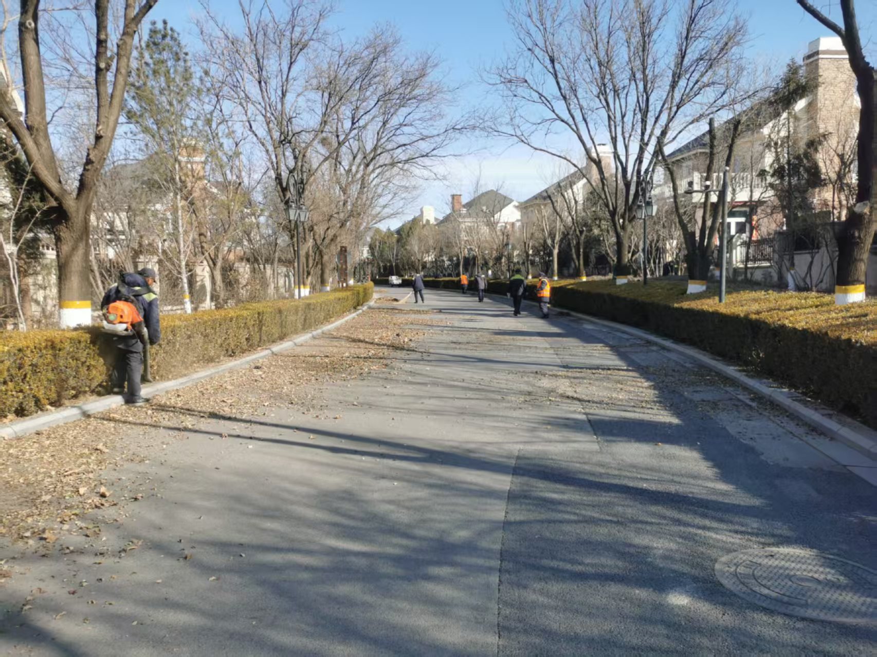 北京春季（jì）園林綠化養護指（zhǐ）南之春季清園