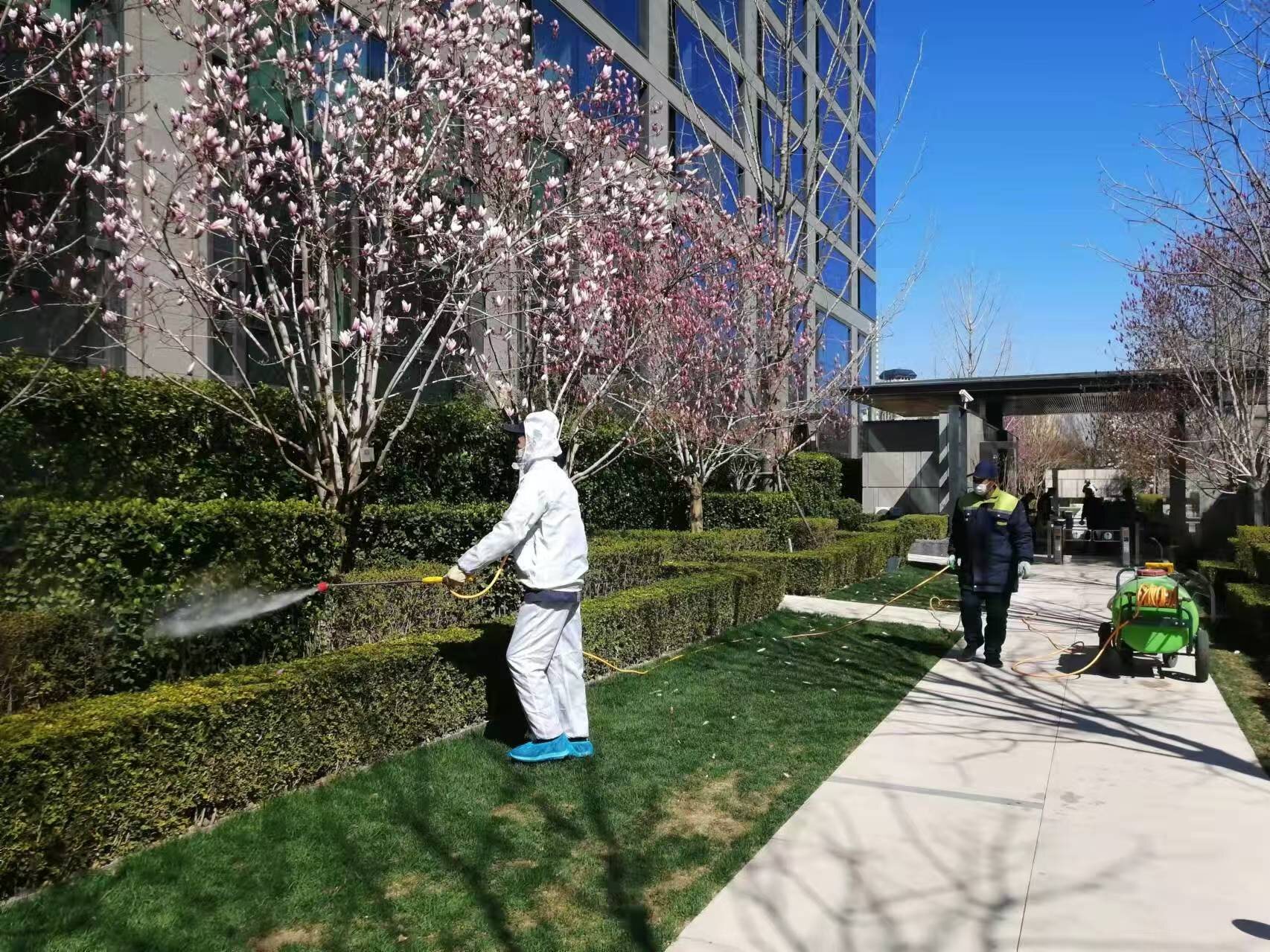 北京春季園林綠化養（yǎng）護之要點