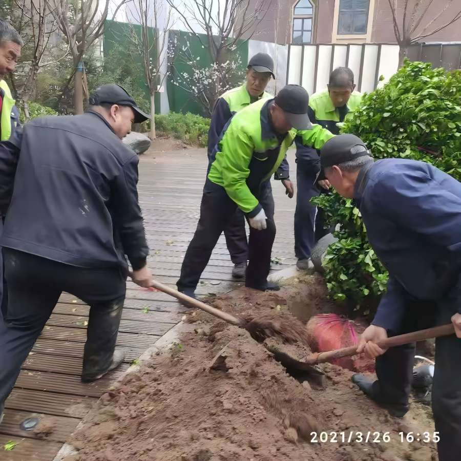 園林綠化工（gōng）程施工中有那些注意事項
